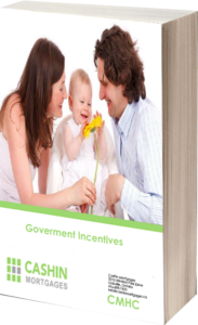 government incentives